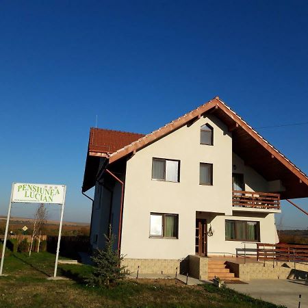 Pensiunea Lucian Baltati Buitenkant foto