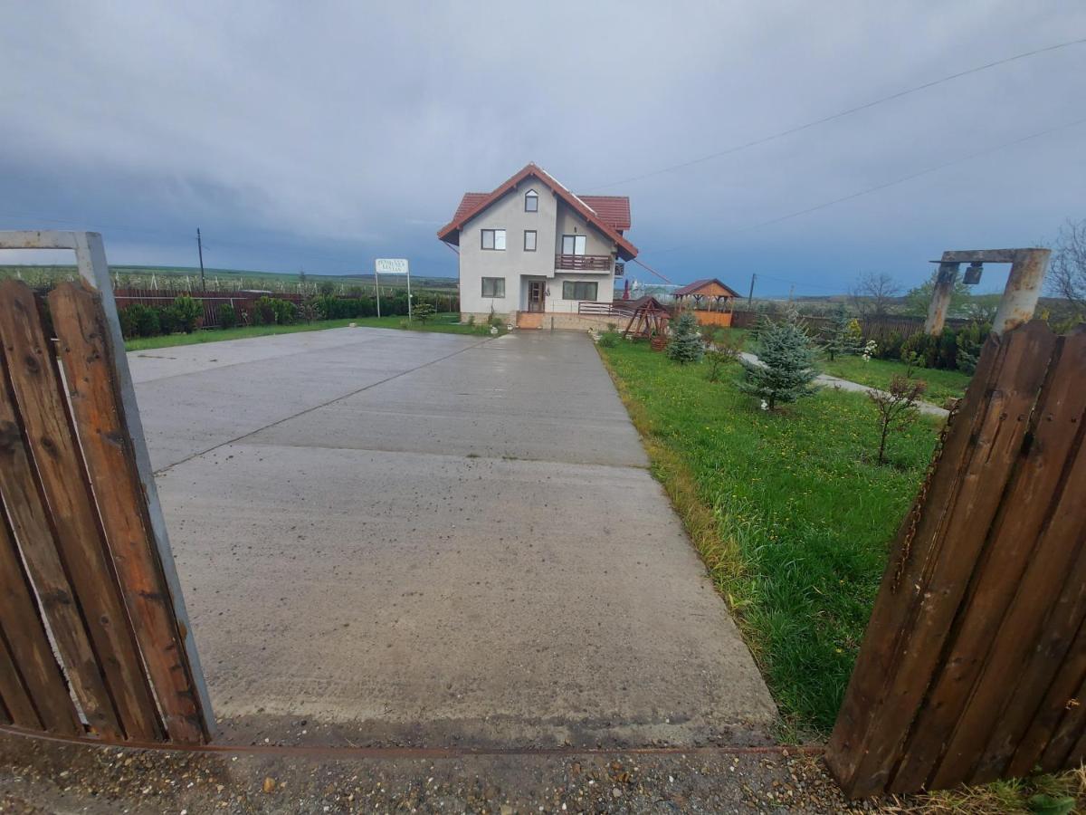 Pensiunea Lucian Baltati Buitenkant foto