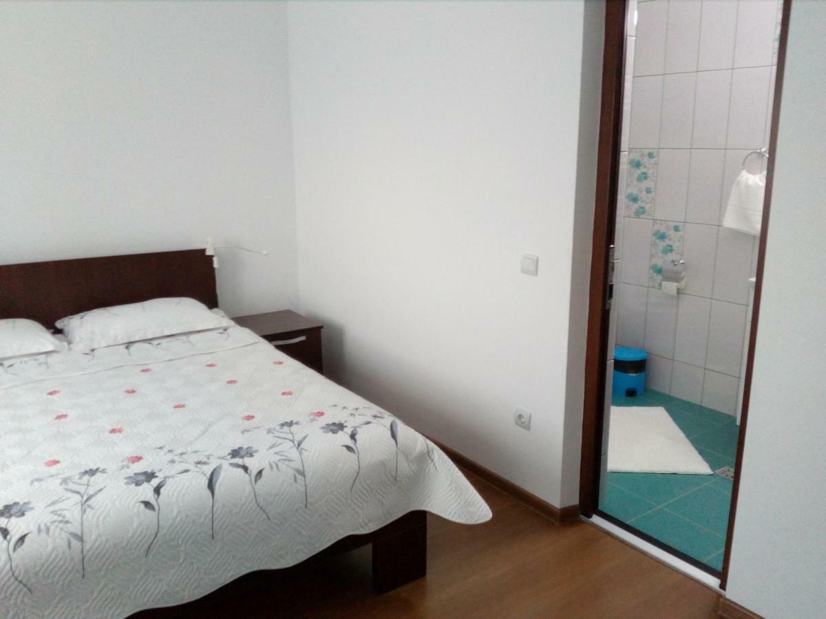 Pensiunea Lucian Baltati Buitenkant foto