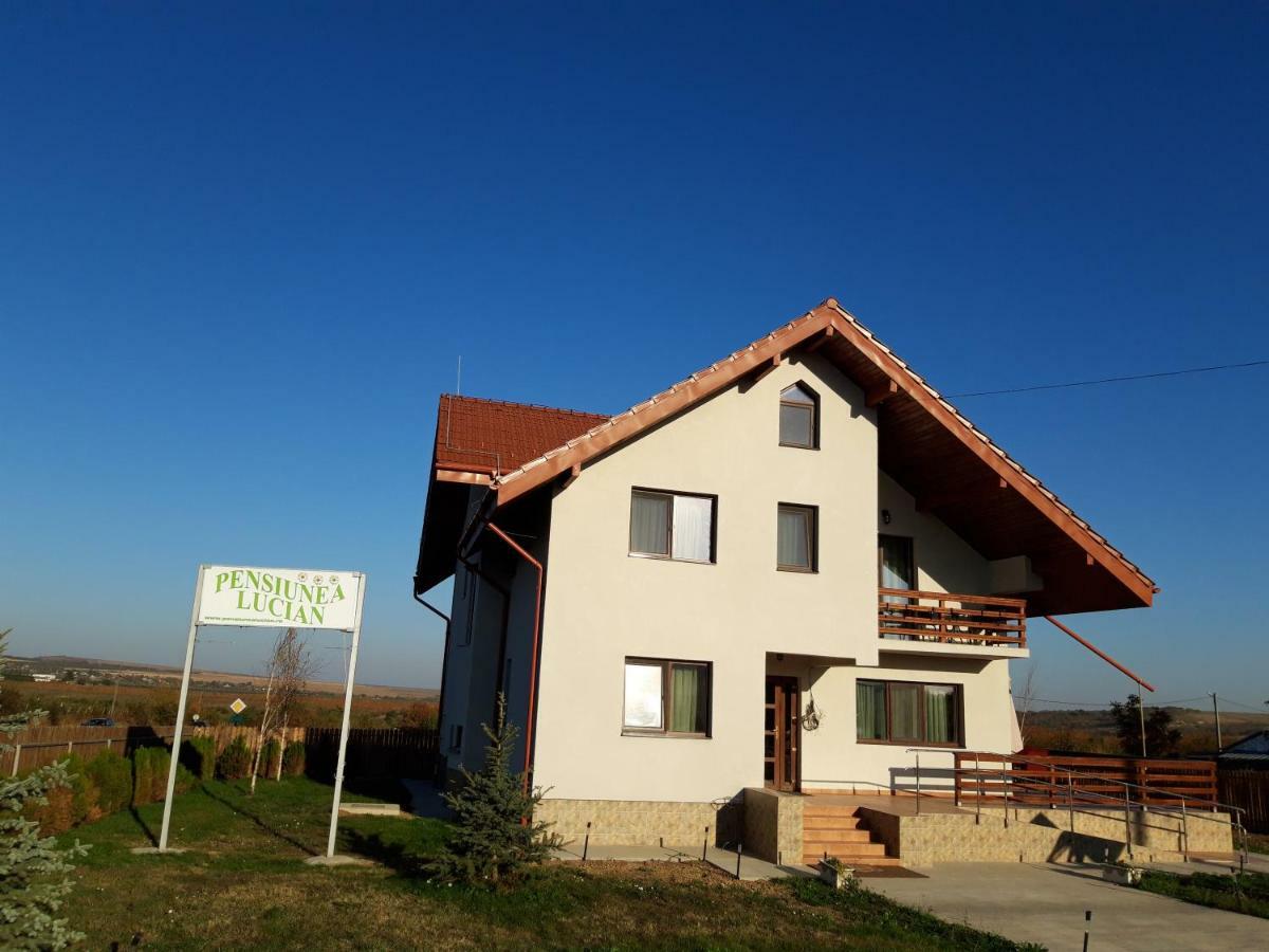 Pensiunea Lucian Baltati Buitenkant foto