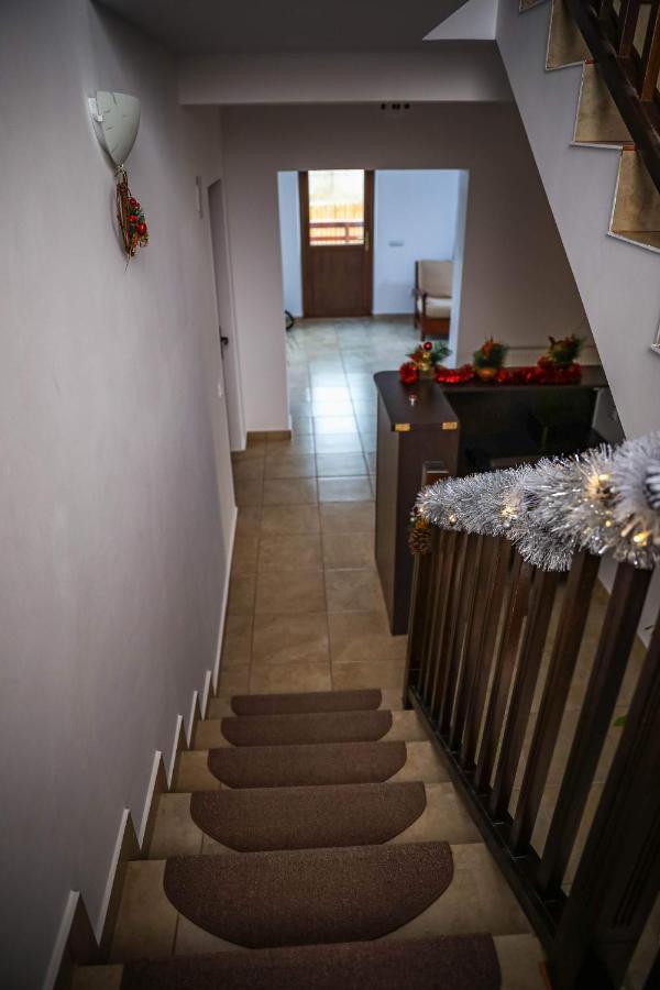 Pensiunea Lucian Baltati Buitenkant foto